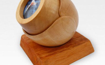 MoneyPenny Testimonial