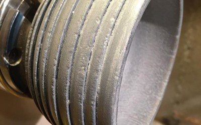 Wasp Nest Surface Treatment Test