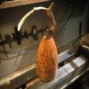 Custom Horn or Antler Urn - Image 5