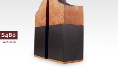 Cat Cremation Urn Pair