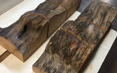 Sycamore Live Edge Companions