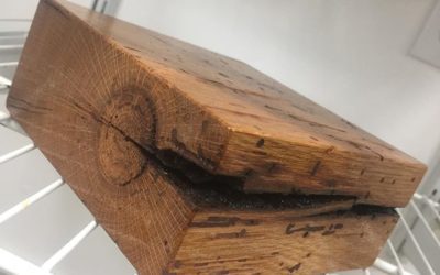 Oiled Barnwood