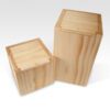 Bare Cremation Urn From Above