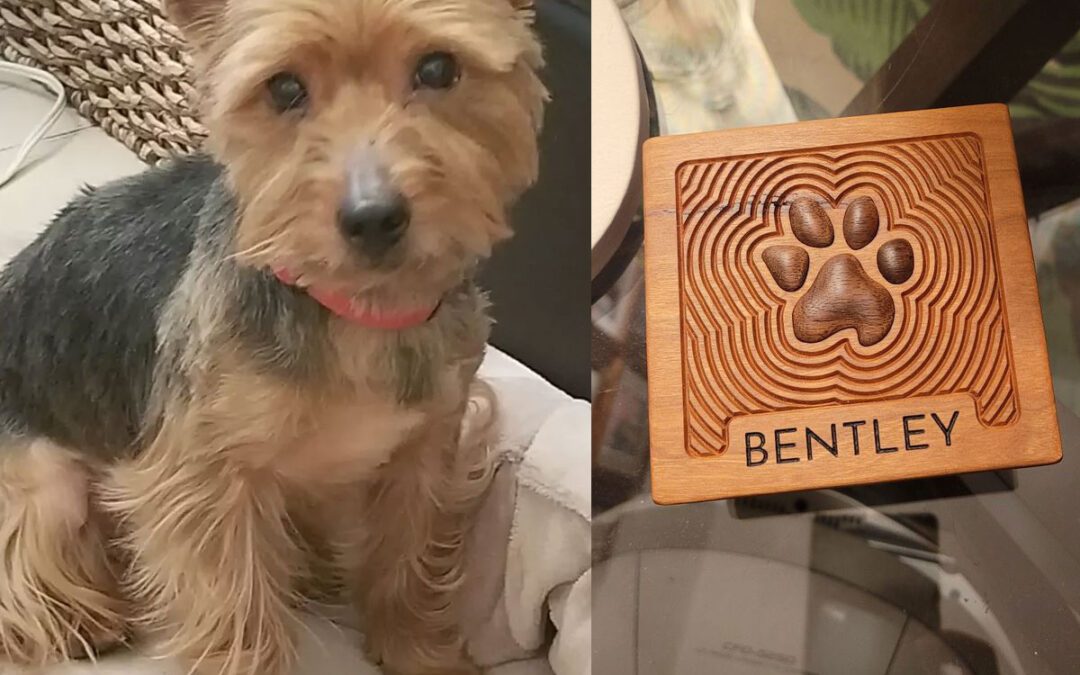 Remembering Bentley