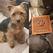 Remembering Bently